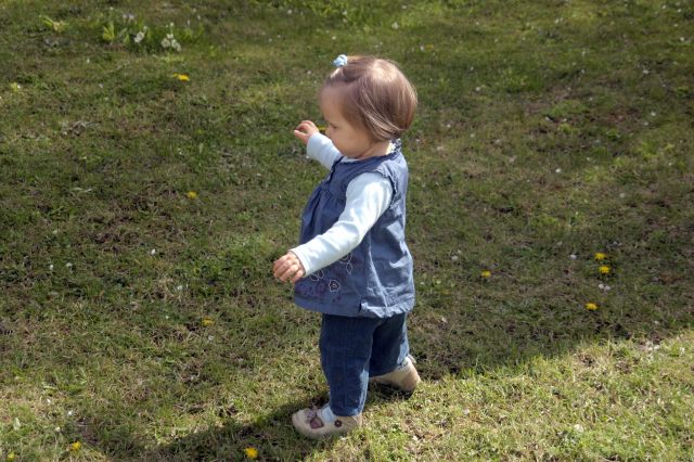 Cliquez pour afficher ou imprimer la photographie en plein format (3,3Mo)
